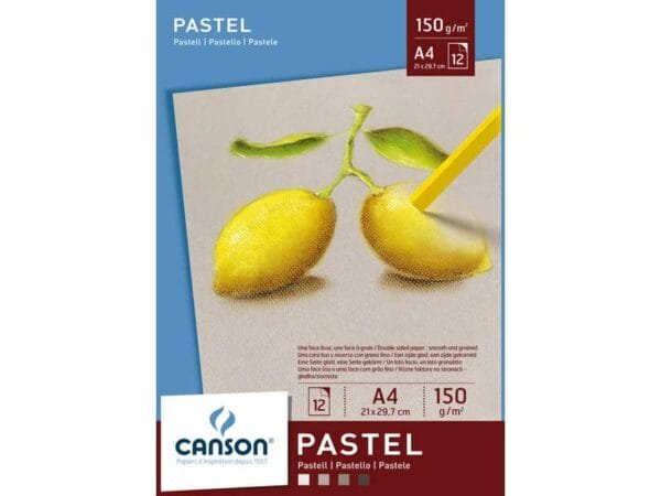 Blocco collato lato corto CANSON Dessin Couleur bianco, nero, grigio chiaro 150 g/mý 12 fogli A4 - C400041762