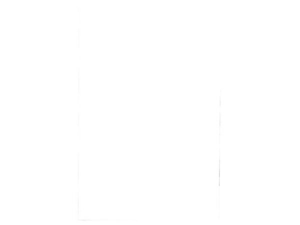 Pouches per plastificatrici Fellowes Standard Capture125 finitura lucida - 2x125 æm - A2 - Conf. 50 pz - 5309302