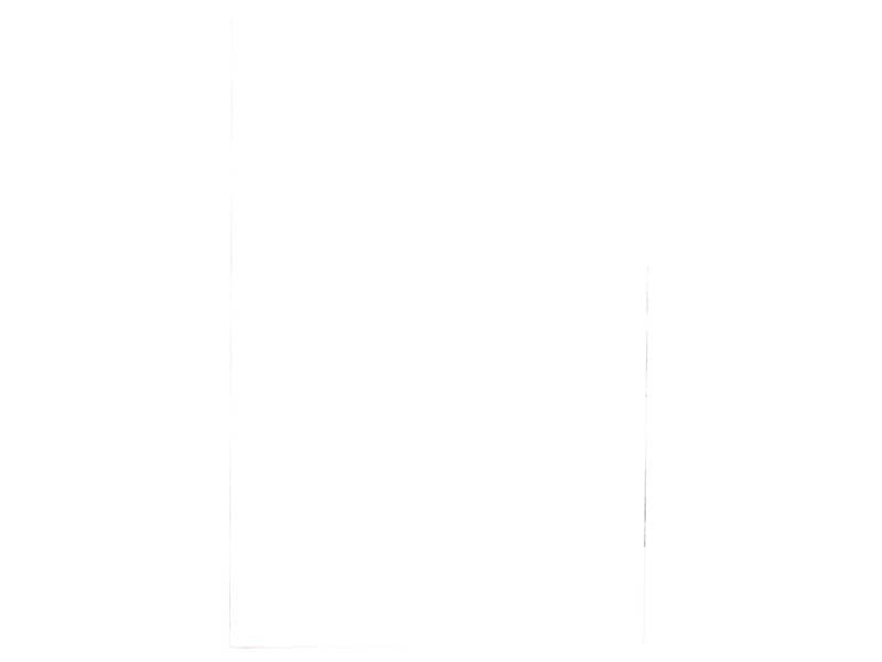 Pouches per plastificatrici Fellowes Standard Capture125 finitura lucida – 2×125 æm – A2 – Conf. 50 pz – 5309302