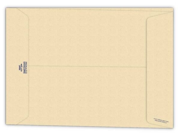 Buste a sacco con soffietto Pigna Envelopes Multi Strip Large 23+4 x 33 cm avana Conf. 250 pezzi - 0655241