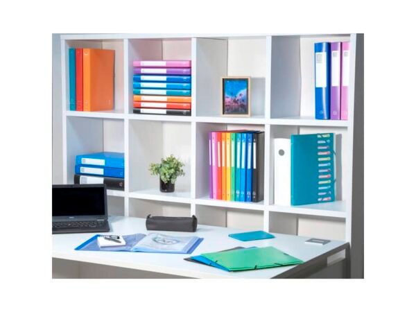 Portalistini Exacompta LINEA OPACO 8 colori assortiti ppl A4 30 buste 8530E