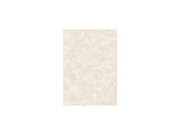 Carta pergamenata Decadry Linea Corporate A4 avorio 95 g/mý Conf. 100 fogli - T105002