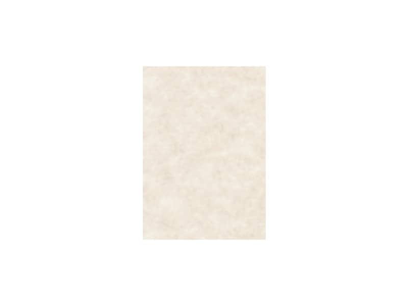 Carta pergamenata Decadry Linea Corporate A4 avorio 95 g/mý Conf. 100 fogli – T105002