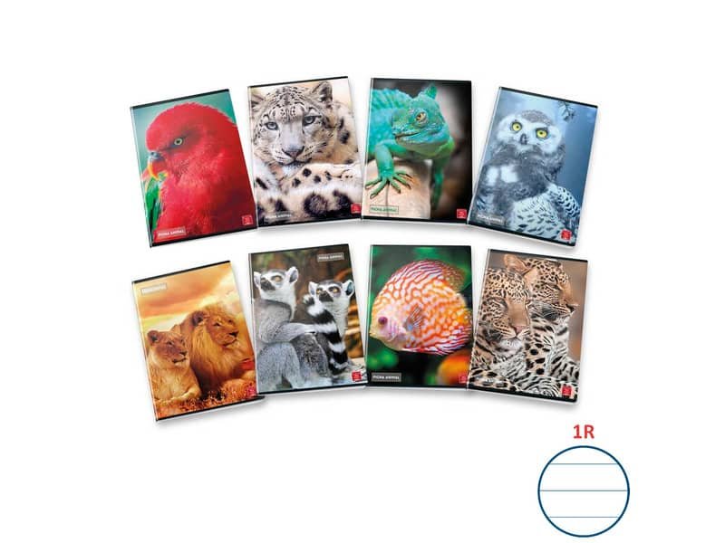 Quaderno 42 fogli PIGNA Animal A4 a righe 1R assortiti 02320441R