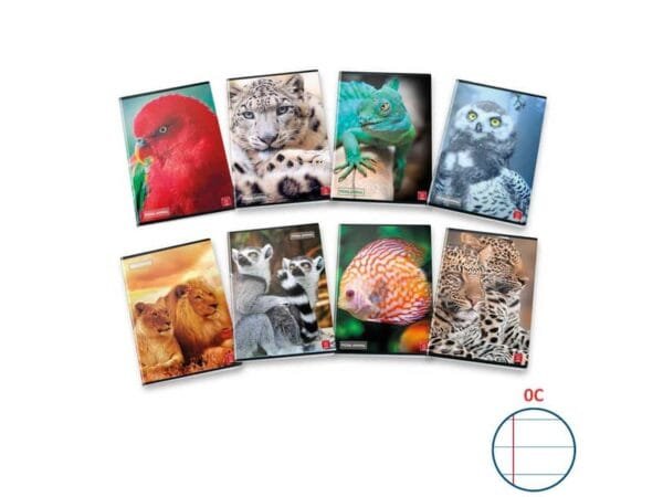 Quaderno 42 fogli PIGNA Animal A4 a righe 0C con margine assortiti 02320440C