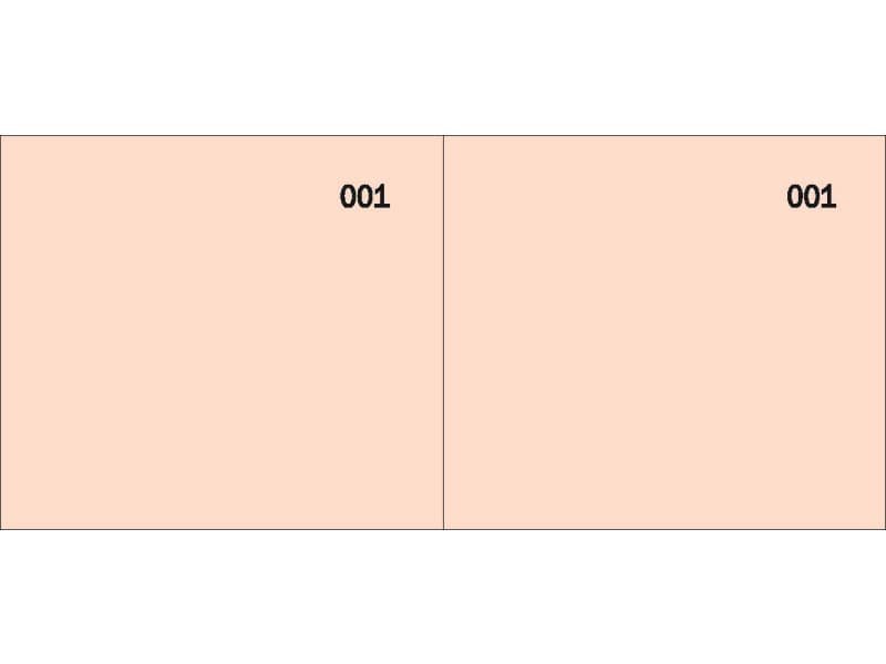 Scontrino colorato a 2 sezioni Data Ufficio blocco 100 copie prenumerate rosso – DU160000020
