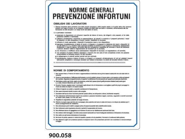 Cartello normativo ''Norme generali prevenzione infortuni'' Dixon Industries 33x47 cm - 900.058