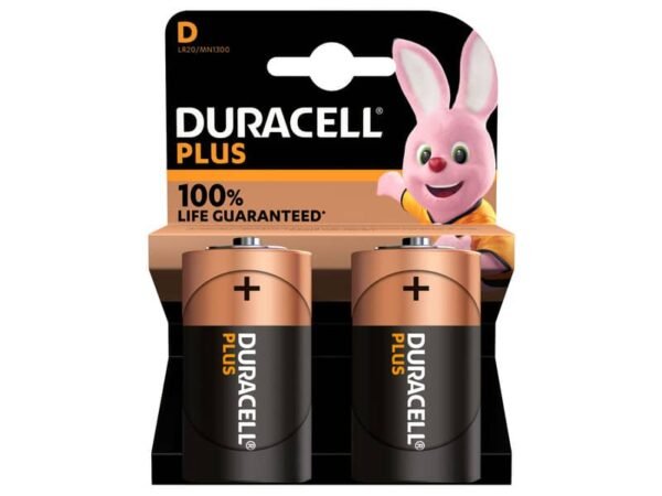 Batteria alcaline Duracell Plus100 Torcia D - MN1300 - blister da 2  - DU0401