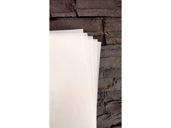 Fogli per stampe in backlit poliestere alta qualit… per stampanti laser - Conf. 100 ff Tecnostyl formato A3 - EPPA3-100