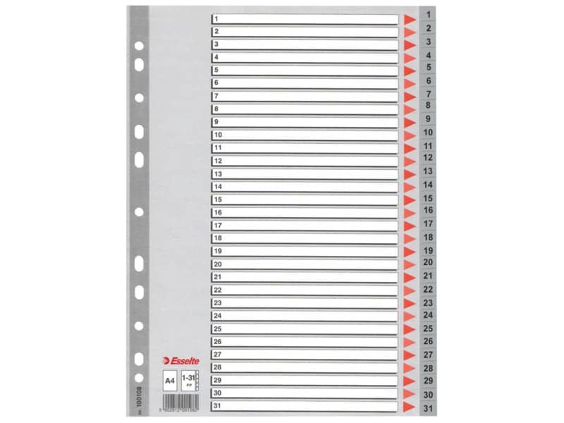 Divisori per rubrica Esselte A4 PPL numerica 1-31 100108