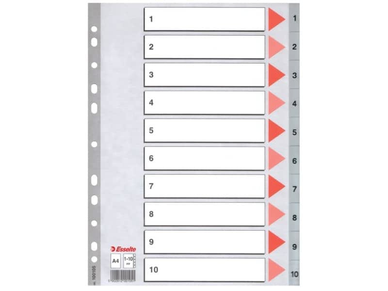 Divisori per rubrica Esselte A4 PPL numerica 1-10 100105