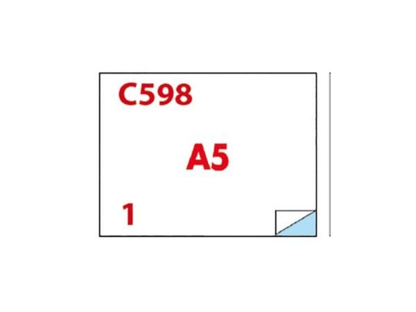 Etichette bianche Copiatabu C598 laser/inkjet  2 et./foglio - conf. 100 ff Markin 210x148,5 mm - X210C598