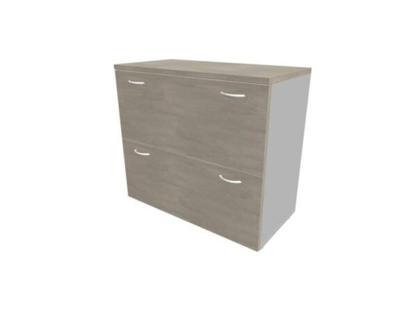 Armadio basso cemento con scocca argento 90x45xH.81,5 cm con due classificatori estraibili Practika - ECEB90C-CL-AA-CL