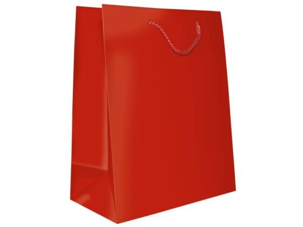 Sacchetti da regalo rosso opaco Biembi misura L - 23,5x32,5x13 cm conf. 6 pezzi - BXS202O20C