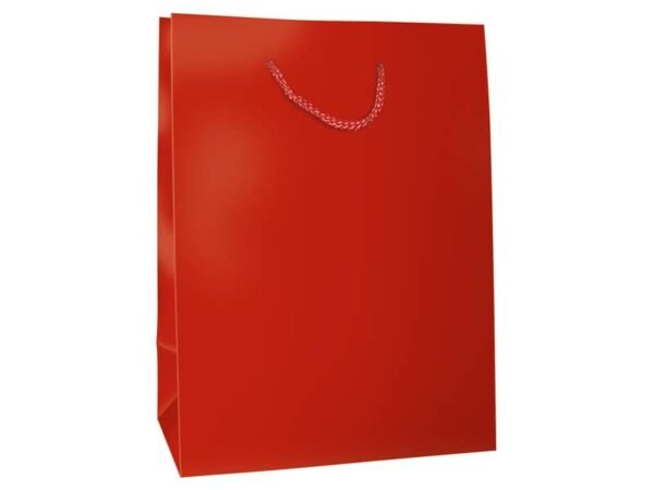 Sacchetti da regalo rosso opaco Biembi misura M - 18x23x10,5 cm conf. 6 pezzi - BXS202O20B