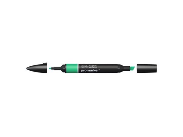 Pennarelli doppia punta Winsor&Newton emerald - 0203235