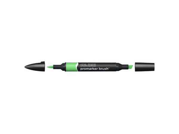 Pennarelli doppia punta Winsor&Newton brush grass - 0204253