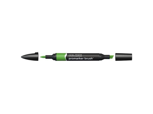 Pennarelli doppia punta Winsor&Newton brush forest green - 0204068