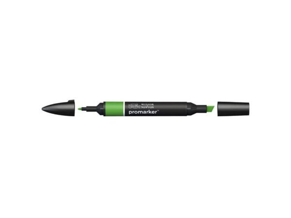 Pennarelli doppia punta Winsor&Newton forest green - 0203068