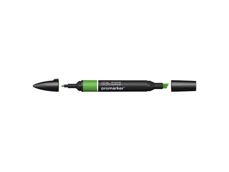 Pennarelli doppia punta Winsor&Newton forest green – 0203068