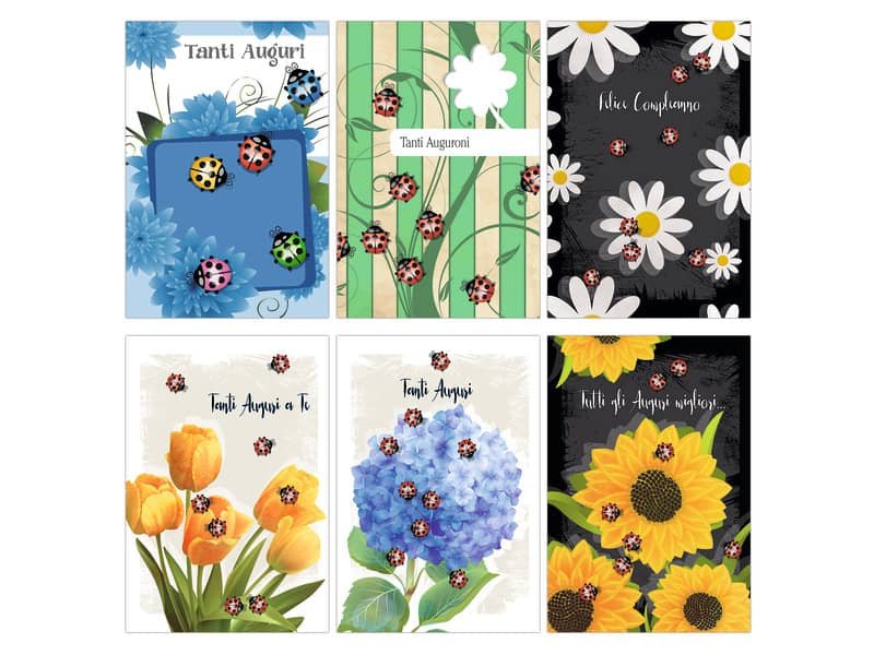 Biglietti augurali Biembi Compleanno 12×18 cm conf. 6 pezzi assortiti – coccinelle – BXBDKTC06