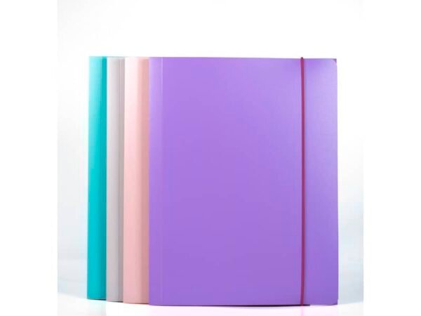 Cartelline a 3 lembi Fellowes ViceVersa A4 25,5 x 35,5 cm conf. da 4 colori assortiti - 100041254