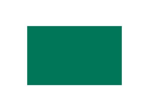 Carta velina Rex-Sadoch 50x70 cm conf. da 26 ff verde scuro KV106-560