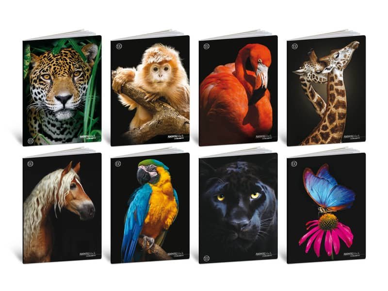 Maxi quaderni Blasetti Animali formato A4  carta 100 g conf. 10 pezzi rigatura B – 8627