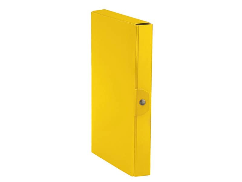 Cartella portaprogetti Esselte C90 DELSO ORDER dorso 4 cmÿpresspan lucido 25×35 cm Esselte giallo – 390384090