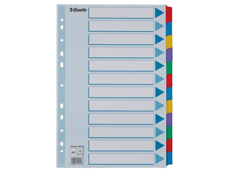 IntercalarI in cartoncino rivestiti in PPL Esselte Essentials Esselte A4 – 12 tasti – 100169