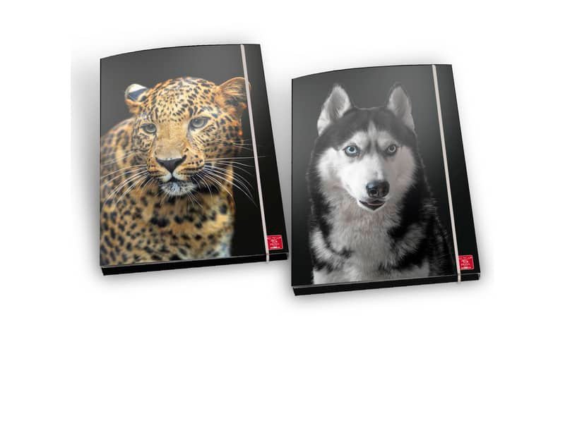 Cartella a 3 lembi con elastico Pigna Animal – A4 30x22x5 cm fantasie assortite – 0232082