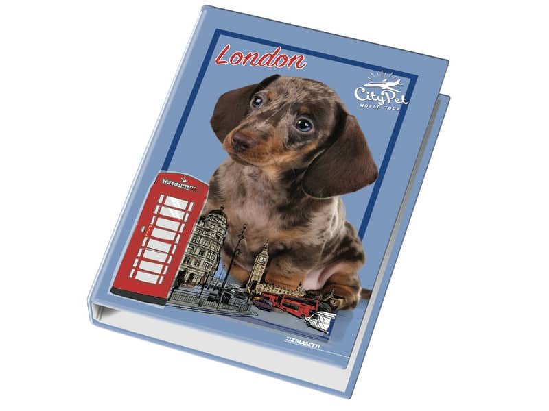 Raccoglitore ad anelli Blasetti – 4 anelli D30 – 26×32 cm per fogli A4 – fantasie assortite Cuccioli – 4170