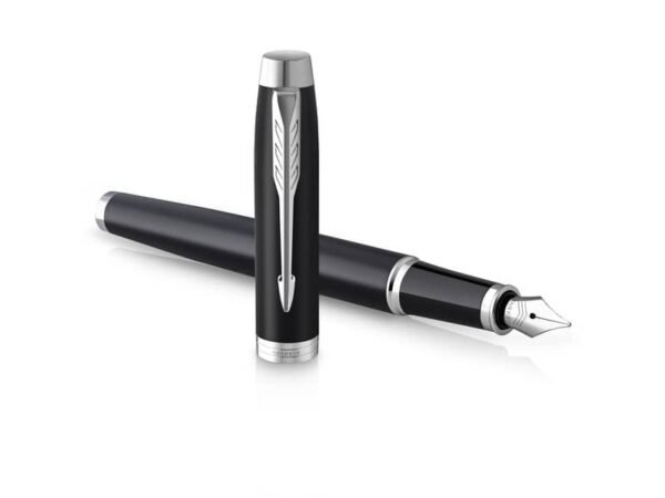 Penna Parker Im Entry Line Black CT stilografica inchiostro blu - 2143637