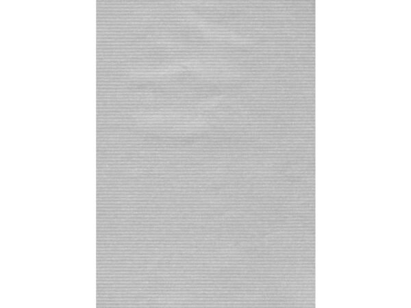 Carta regalo in fogli Rex-Sadoch formato 140x100 cm - colore argento 165BIS -12