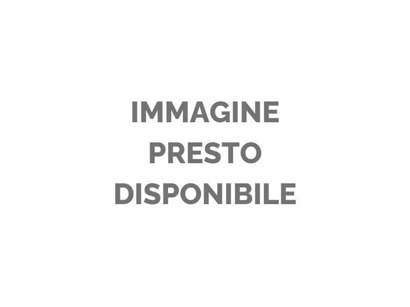 Cartella portaprogetti Esselte C90 DELSO ORDER dorso 4 cmÿpresspan lucido 25×35 cm Esselte verde – 390384180