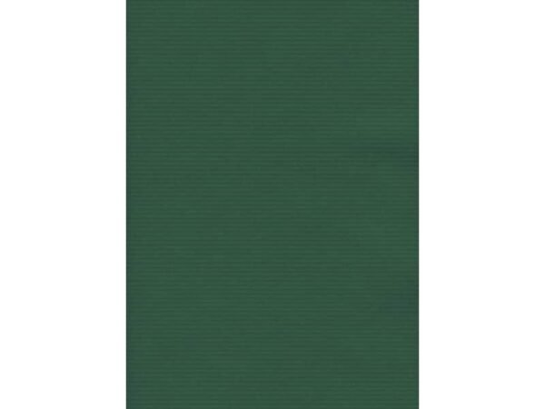 Carta regalo in fogli Rex-Sadoch formato 140x100 cm - colore verde 190BIS -16