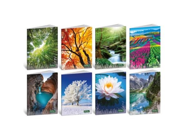 Maxi quaderno Blasetti Quadec• formato A4  carta 80 g conf. 10 pezzi rigatura C - 4773