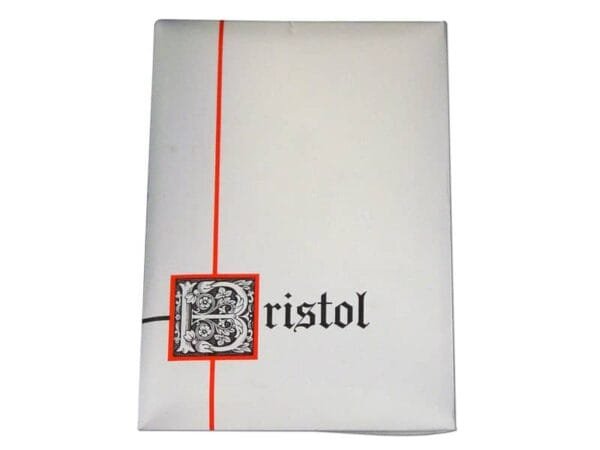 Plichi Blasetti 10 biglietti pi— 10 buste - conf. 50 pz - 90 g 90x140 mm 560