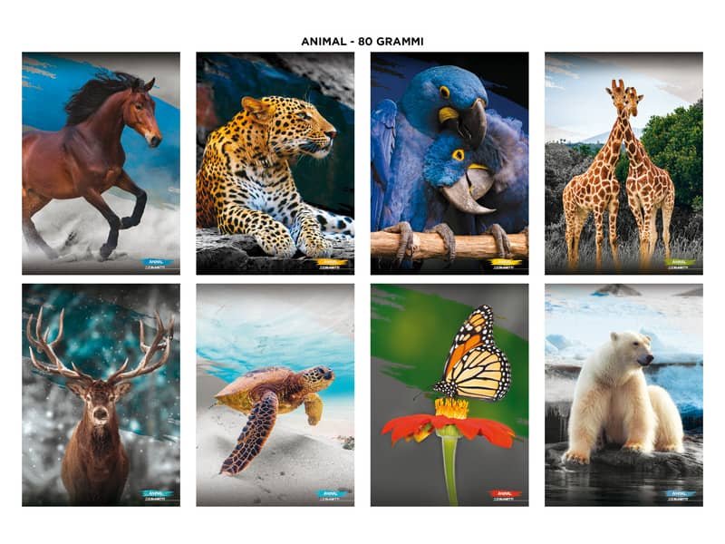 Maxi quaderni Blasetti Animali formato A4  carta 80 g conf. 10 pezzi rigatura C – 8582