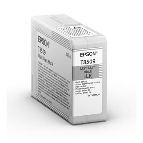 Cartuccia Originale Nero per Epson C13T850900