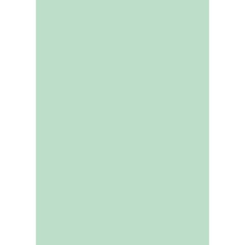 Cartellina semplice Brefiocart Color 24, menta chiaro – conf. 50 pz – 0205510.VC