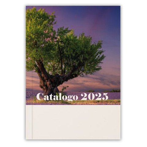 Catalogo Office 2025 – copertina Vecchia Quercia – CAL2504