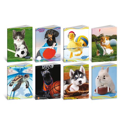 Maxi quaderni Blasetti Cuccioli A4 18+1 ff carta 100 g/m_ – conf. 10 pezzi – rigatura 10 mm margine – 8995