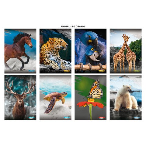 Maxi quaderni Blasetti Animali A4 18+1 ff carta 100 g/m_ – conf. 10 pz – rigatura 10 mm con margine – 8635