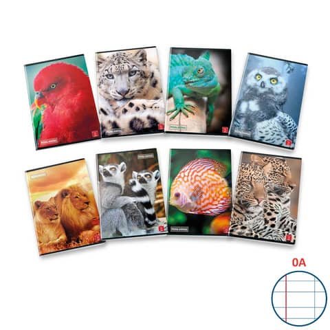 Maxi quaderno Pigna Animal A4 – 80 g/m² – 42 ff – A – assortiti – 02330130A