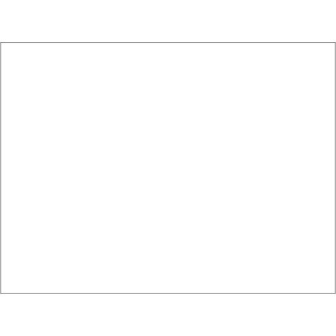 Tovaglietta Ristocart in carta bianca liscia 55 g conf. 250 pz 30x40cm EYTVT1157