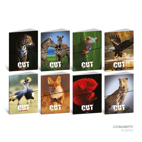 Maxi quaderno Blasetti Animal Cut A4 – 80 g/m² – 20+1 ff – bianco – conf. 10 pezzi – 9245